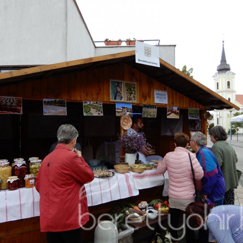 Helyi Értékek Startja 54